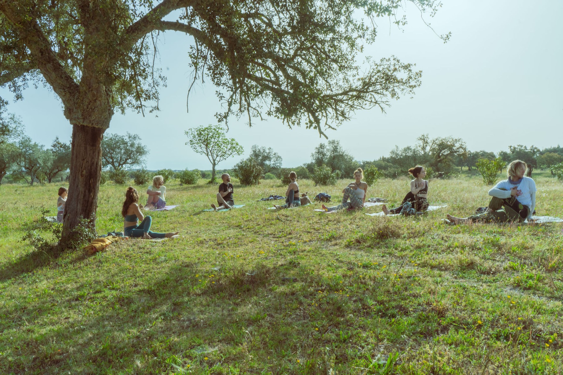 People gathering together in the shade at PurposeFlow
